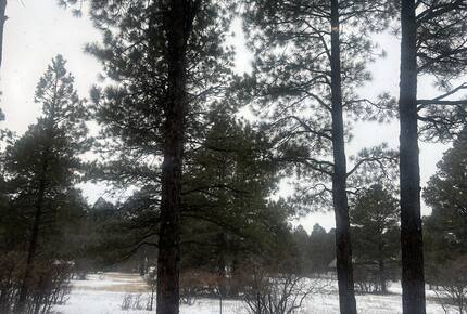 Pagosa Springs Private Retreat - Pagosa Springs, Colorado