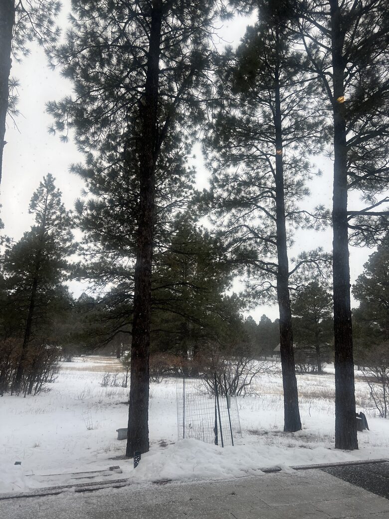 Pagosa Springs Private Retreat - Pagosa Springs, Colorado