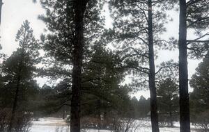 Pagosa Springs Private Retreat - Pagosa Springs, Colorado