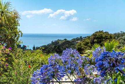 Tranquil Waiheke Getaway - Waiheke Island, New Zealand