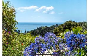 Tranquil Waiheke Getaway - Waiheke Island, New Zealand