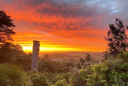 Tranquil Waiheke Getaway - Waiheke Island, New Zealand