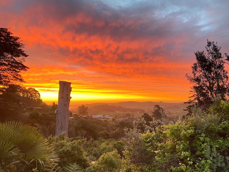 Tranquil Waiheke Getaway - Waiheke Island, New Zealand