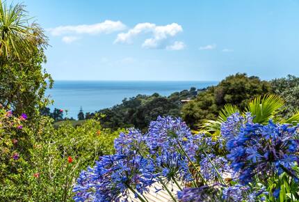 Tranquil Waiheke Getaway - Waiheke Island, New Zealand