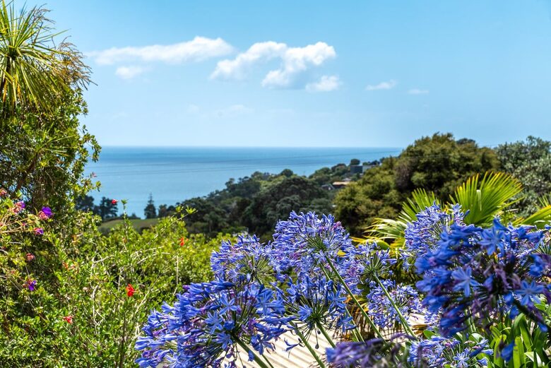 Tranquil Waiheke Getaway - Waiheke Island, New Zealand