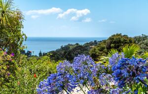 Tranquil Waiheke Getaway - Waiheke Island, New Zealand