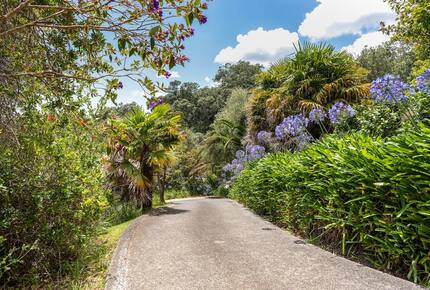 Tranquil Waiheke Getaway - Waiheke Island, New Zealand