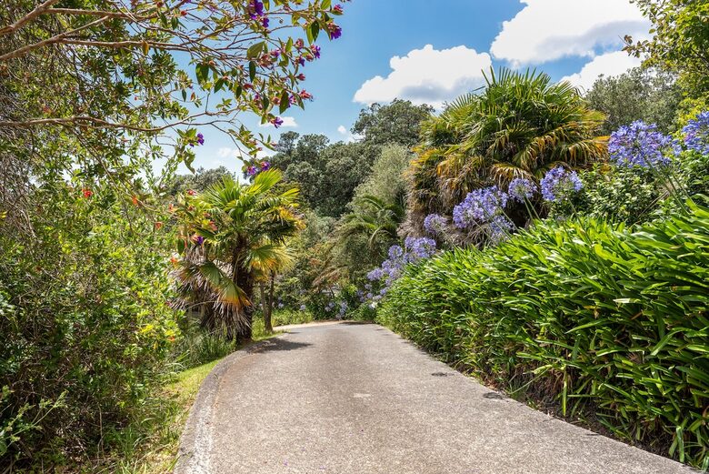 Tranquil Waiheke Getaway - Waiheke Island, New Zealand