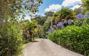 Tranquil Waiheke Getaway - Waiheke Island, New Zealand