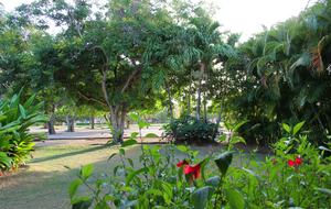 Villa Estefania - Punta Cana, Dominican Republic