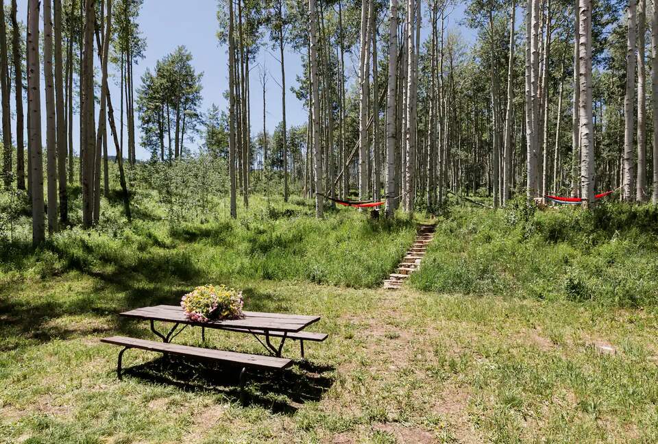 Handcrafted Log Home on 70 Acres in the Colorado Mountains - Gypsum, Colorado