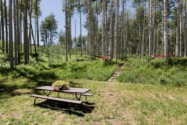 Handcrafted Log Home on 70 Acres in the Colorado Mountains - Gypsum, Colorado