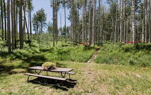 Handcrafted Log Home on 70 Acres in the Colorado Mountains - Gypsum, Colorado