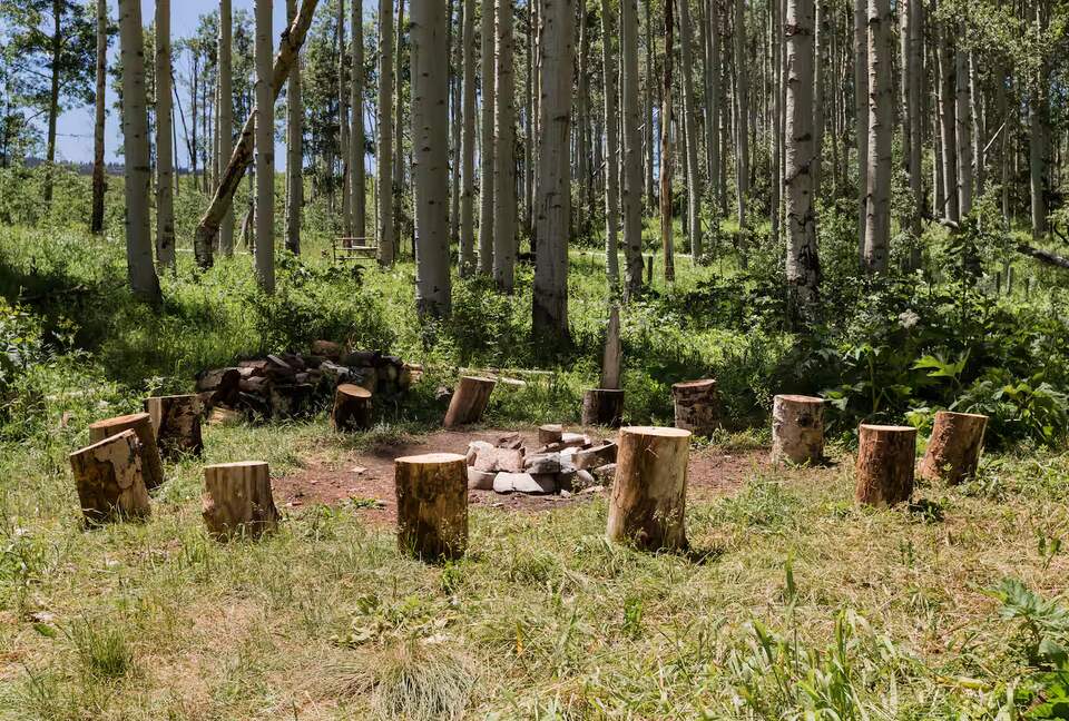 Handcrafted Log Home on 70 Acres in the Colorado Mountains - Gypsum, Colorado