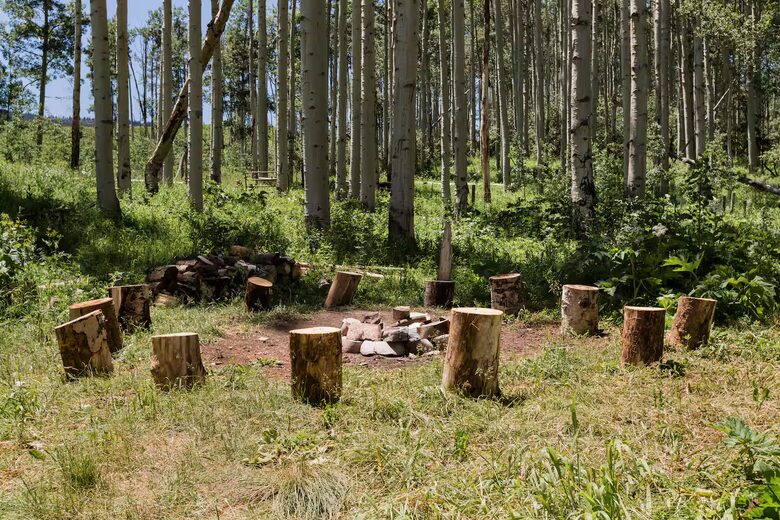 Handcrafted Log Home on 70 Acres in the Colorado Mountains - Gypsum, Colorado