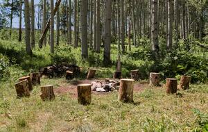 Handcrafted Log Home on 70 Acres in the Colorado Mountains - Gypsum, Colorado