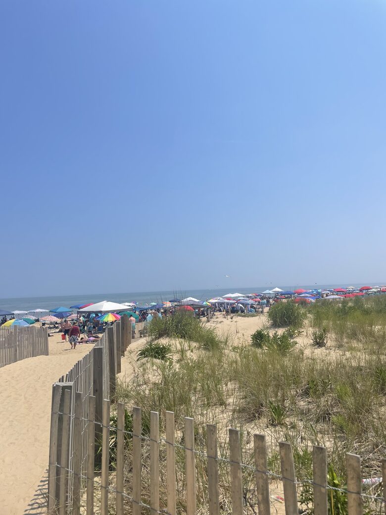 Bayside Bliss in Ocean City - Ocean City, Maryland