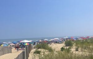 Bayside Bliss in Ocean City - Ocean City, Maryland