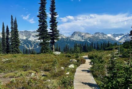 Ski-In/Ski-Out Alpine Retreat in Whistler - Whistler, Canada