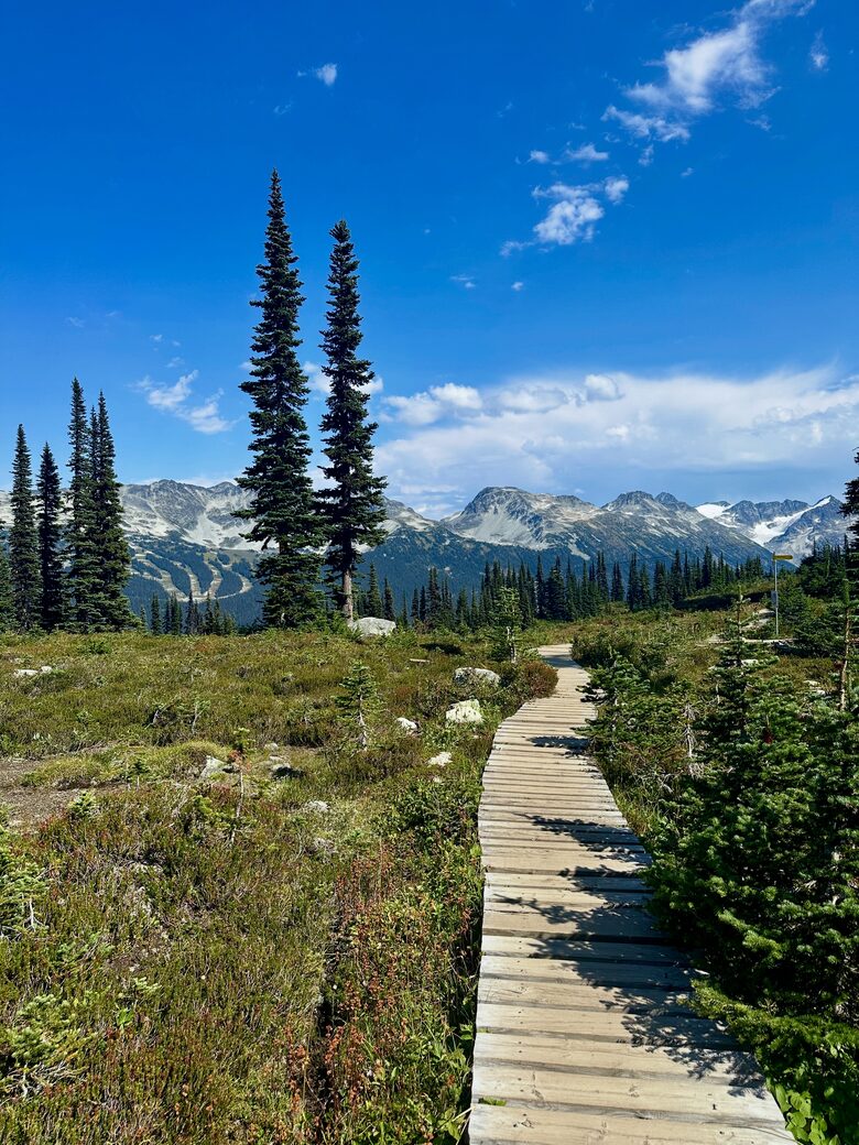 Ski-In/Ski-Out Alpine Retreat in Whistler - Whistler, Canada