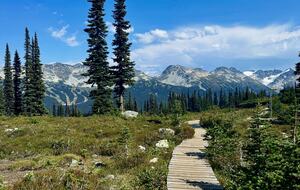 Ski-In/Ski-Out Alpine Retreat in Whistler - Whistler, Canada