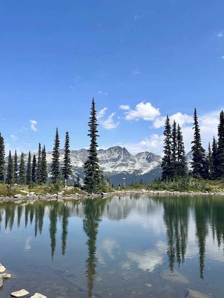 Ski-In/Ski-Out Alpine Retreat in Whistler - Whistler, Canada