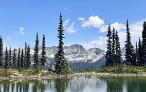 Ski-In/Ski-Out Alpine Retreat in Whistler - Whistler, Canada