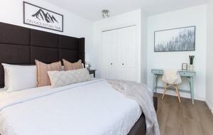 Ski-In/Ski-Out Alpine Retreat in Whistler - Whistler, Canada