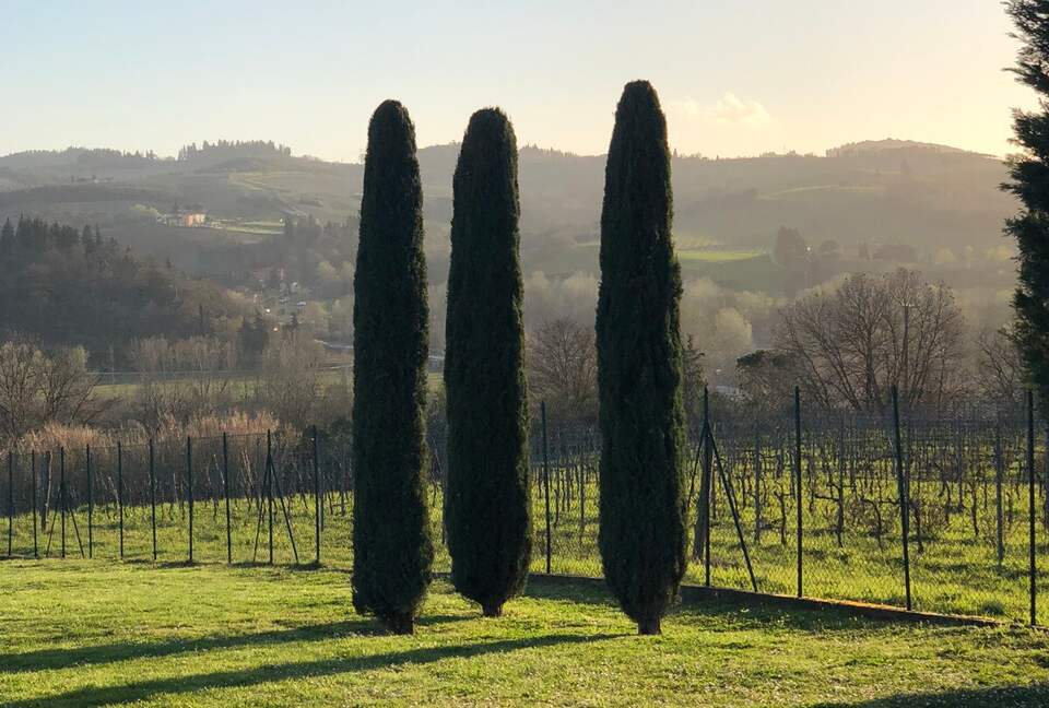 Tasteful Country Escape in the Heart of Tuscany - Ginestra, Italy
