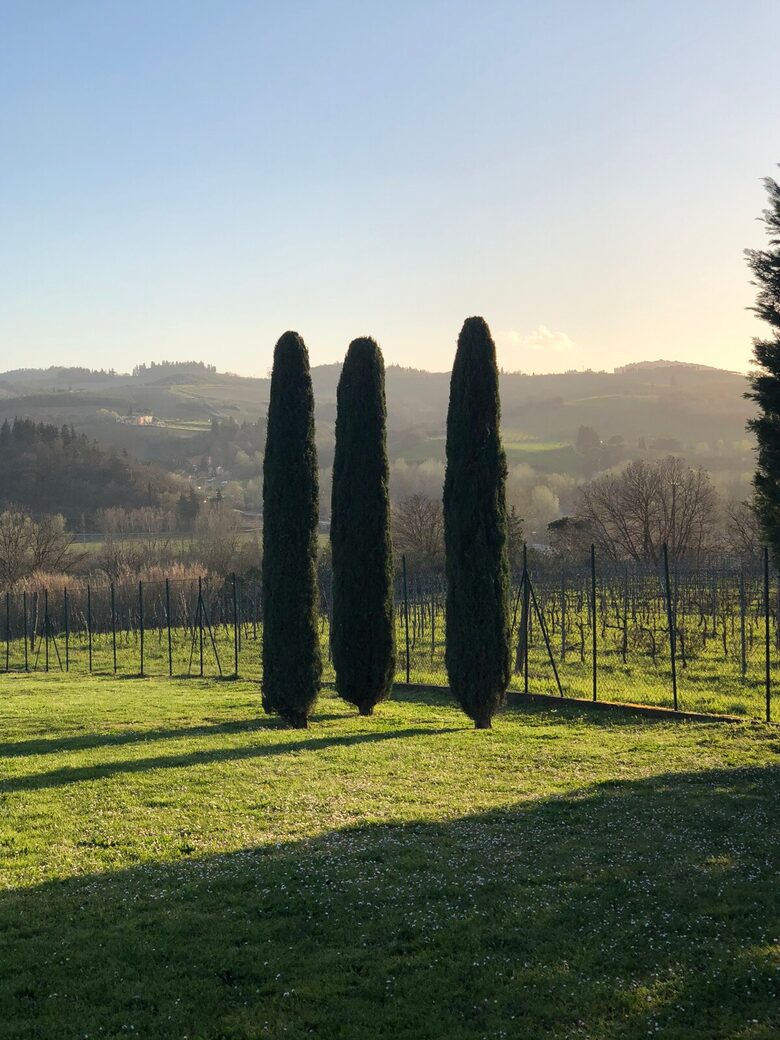 Tasteful Country Escape in the Heart of Tuscany - Ginestra, Italy