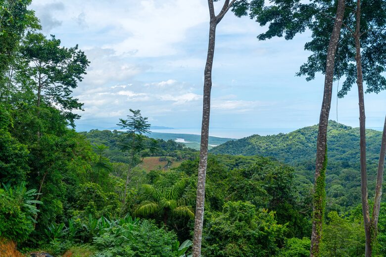 Oceanview Luxury Retreat near Ojochal - Puntarenas Province, Costa Rica