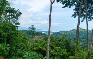 Oceanview Luxury Retreat near Ojochal - Puntarenas Province, Costa Rica