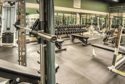 Ski-In, Ski-Out Stratton Escape - Stratton, Vermont