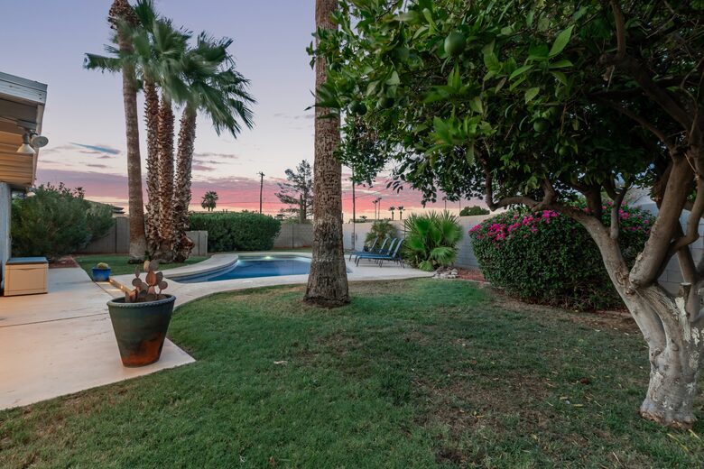 Enjoy fresh oranges and pomelos