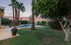 Enjoy fresh oranges and pomelos