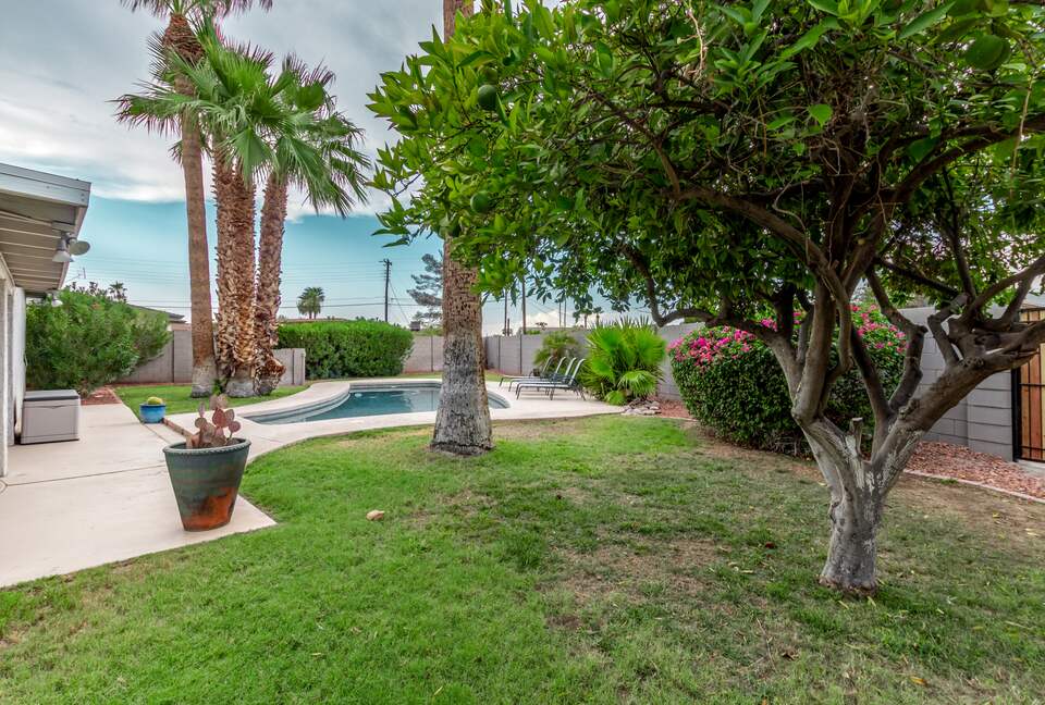 Plenty of extra space in the yard