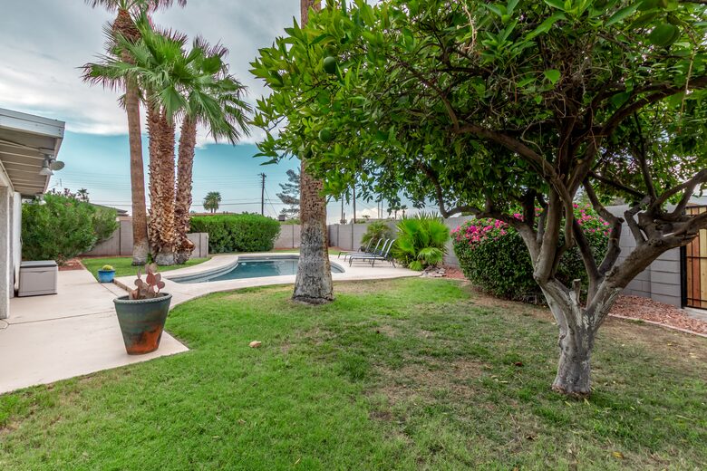 Plenty of extra space in the yard