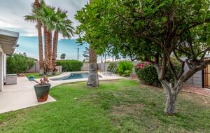 Plenty of extra space in the yard