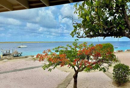 Sun-Kissed Serenity on Bonaire’s Waterfront - Kralendijk, Bonaire, Sint Eustatius and Saba