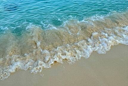 Sun-Kissed Serenity on Bonaire’s Waterfront - Kralendijk, Bonaire, Sint Eustatius and Saba