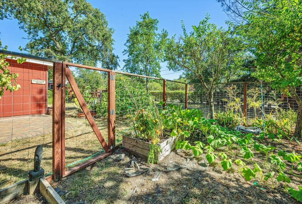 Wine Country Retreat Across from Spring Lake - Santa Rosa, California