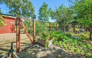 Wine Country Retreat Across from Spring Lake - Santa Rosa, California