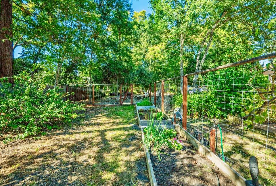 Wine Country Retreat Across from Spring Lake - Santa Rosa, California