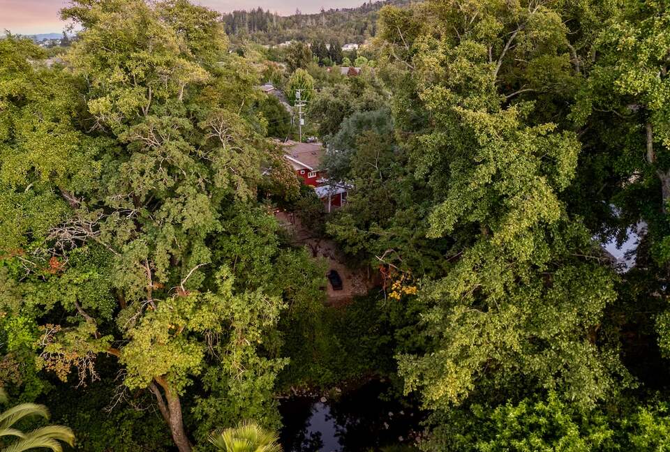 Wine Country Retreat Across from Spring Lake - Santa Rosa, California