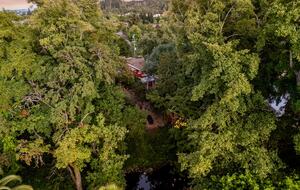 Wine Country Retreat Across from Spring Lake - Santa Rosa, California