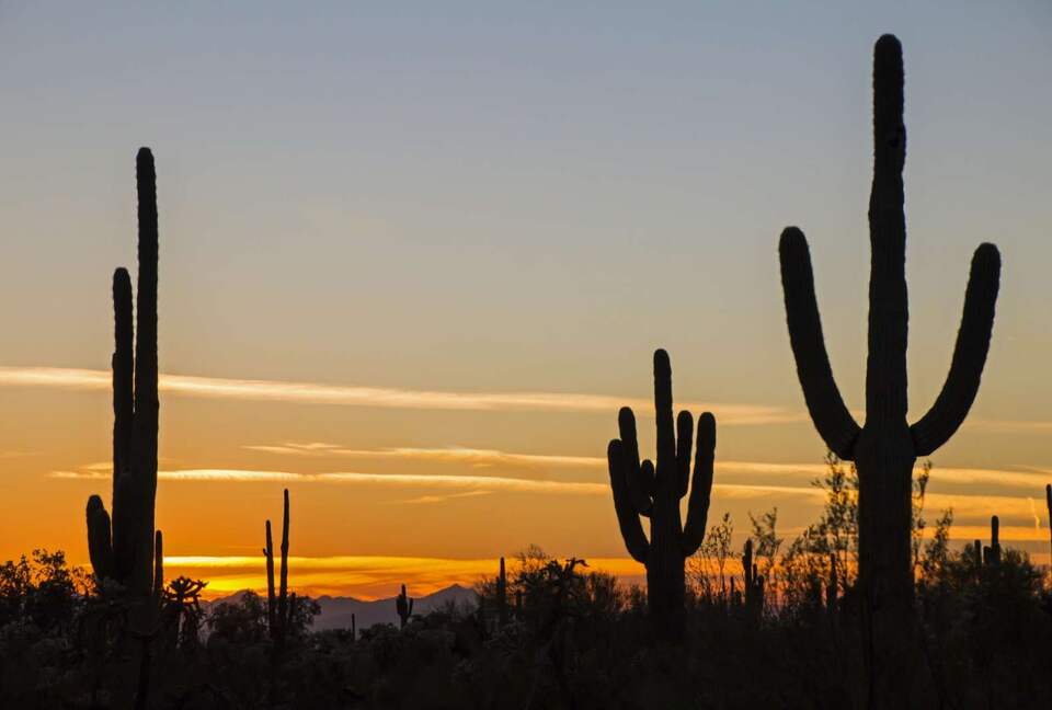 Nothing like a desert sunset