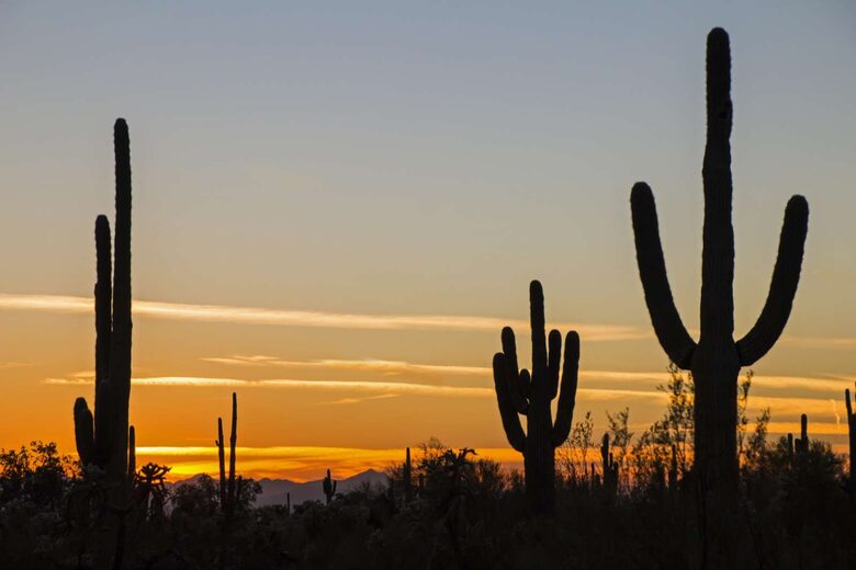 Nothing like a desert sunset