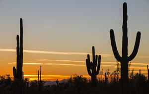 Nothing like a desert sunset