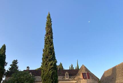 Peaceful Dordogne Estate Surrounded by Nature - Veyrines-de-Domme, France