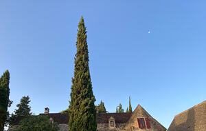 Peaceful Dordogne Estate Surrounded by Nature - Veyrines-de-Domme, France